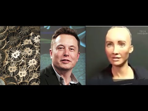 Did Elon Musk Invent Bitcoin under Pseudonym Satoshi Nakamoto? - Leak