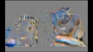 Check Out These Haunted Gargoyles & Legend of La Gargouille, Dragon Slayer