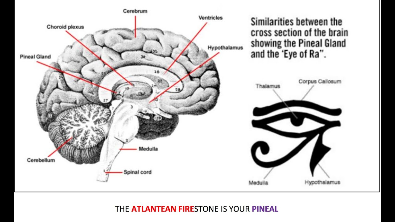 Secrets of the Universe They Don't Want You To Know, Ascension, Age of